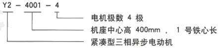 YR系列(H355-1000)高压YE2-355L-215三相异步电机西安西玛电机型号说明